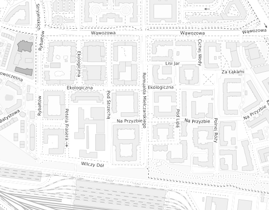 Mapa z adresem organizacji