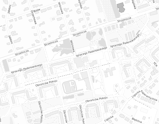 Mapa z adresem organizacji