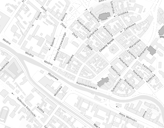 Mapa z adresem organizacji