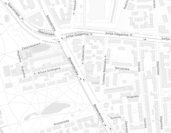 Mapa z adresem organizacji