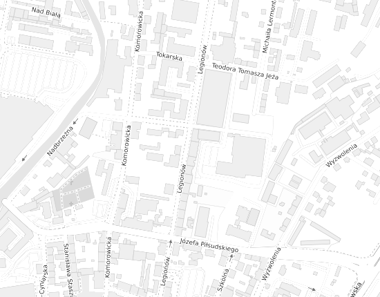 Mapa z adresem organizacji