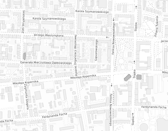 Mapa z adresem organizacji