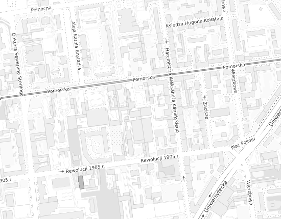 Mapa z adresem organizacji