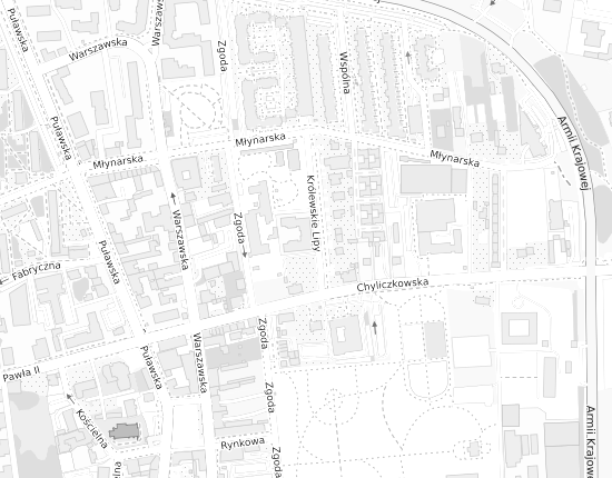 Mapa z adresem organizacji