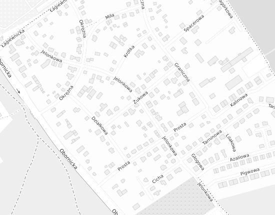 Mapa z adresem organizacji