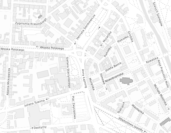 Mapa z adresem organizacji