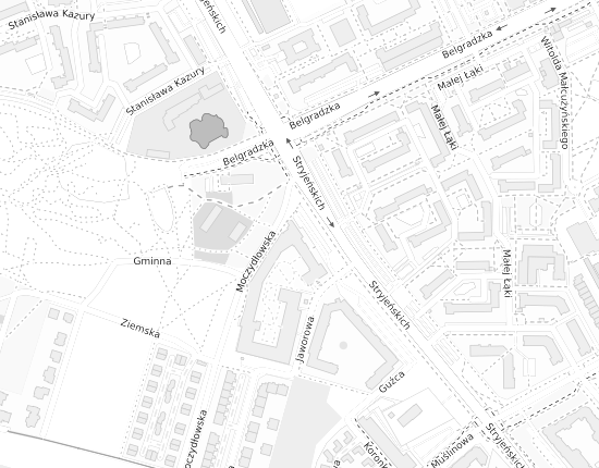 Mapa z adresem organizacji