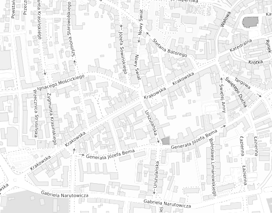 Mapa z adresem organizacji