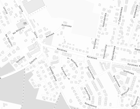 Mapa z adresem organizacji