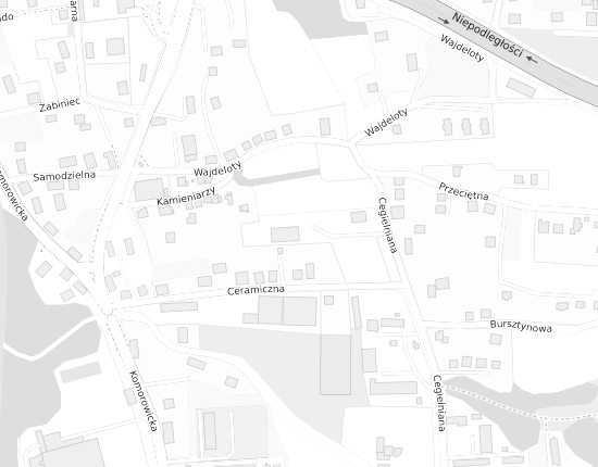 Mapa z adresem organizacji