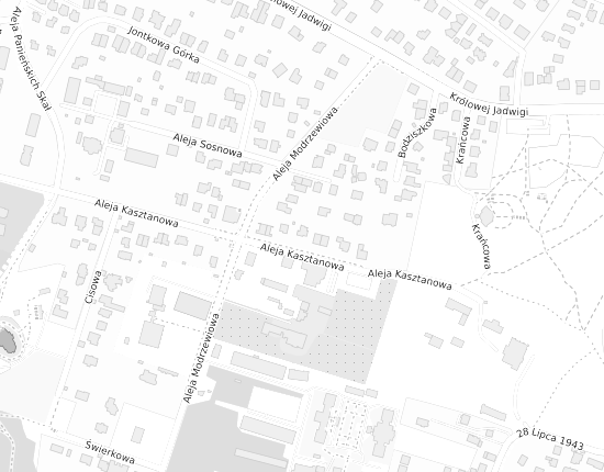 Mapa z adresem organizacji