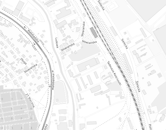 Mapa z adresem organizacji
