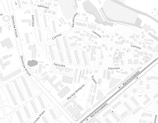 Mapa z adresem organizacji