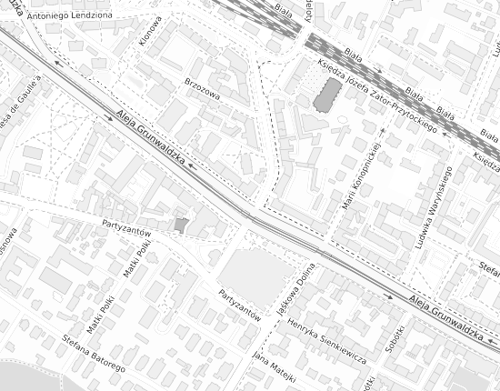 Mapa z adresem organizacji