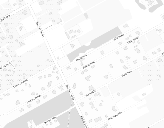 Mapa z adresem organizacji