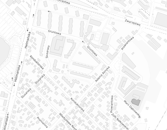 Mapa z adresem organizacji