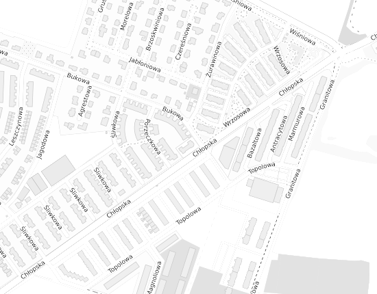 Mapa z adresem organizacji