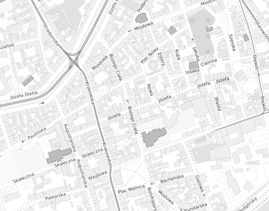 Mapa z adresem organizacji