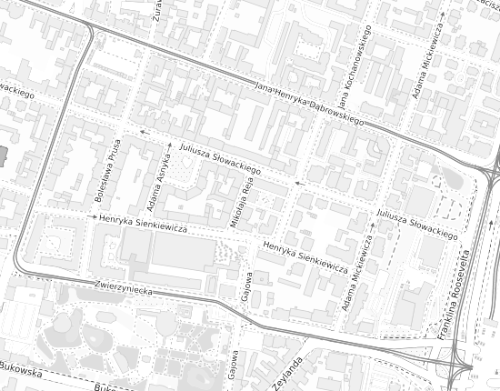 Mapa z adresem organizacji