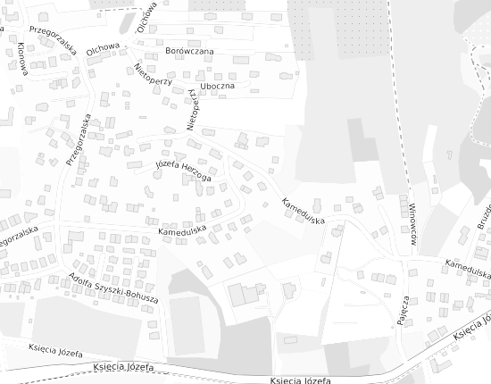 Mapa z adresem organizacji