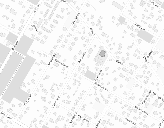 Mapa z adresem organizacji
