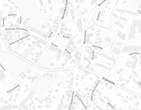 Mapa z adresem organizacji