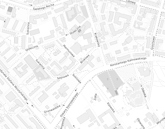 Mapa z adresem organizacji