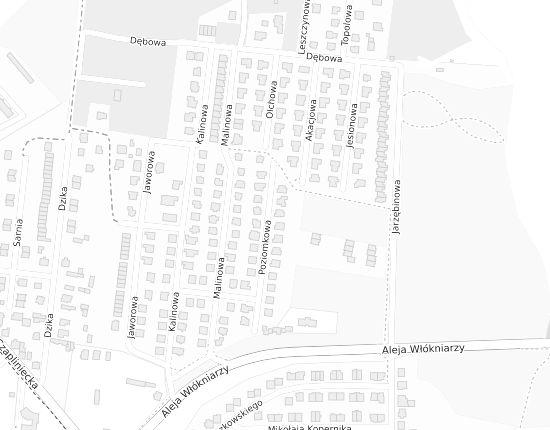 Mapa z adresem organizacji