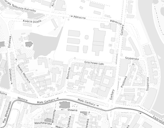 Mapa z adresem organizacji