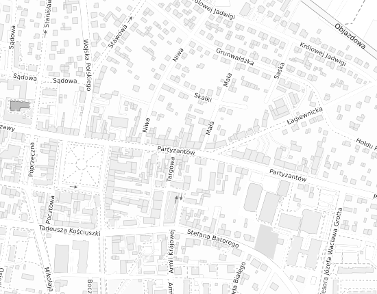 Mapa z adresem organizacji