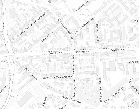 Mapa z adresem organizacji